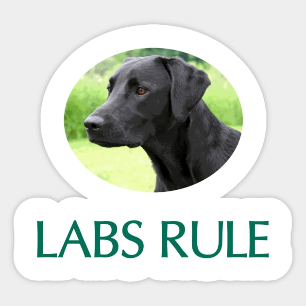 Black Labs Rule Sticker by Naves